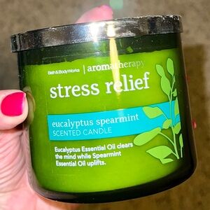 Bath & Body Works Eucalyptus Spearmint Candle NEW